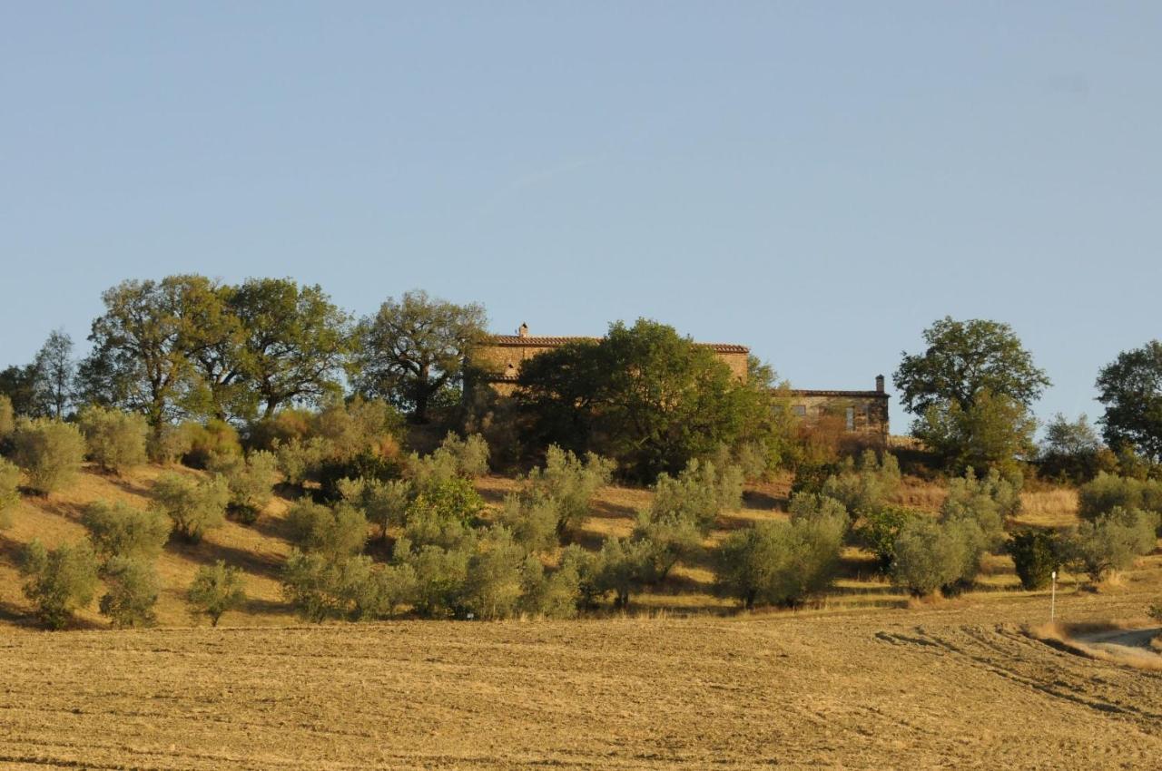 Podere Palazzo Castiglione dʼOrcia Esterno foto